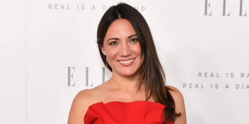 Lisa Joy's Career As a Director, Writer, & Her Love Life In Seven Interesting Facts